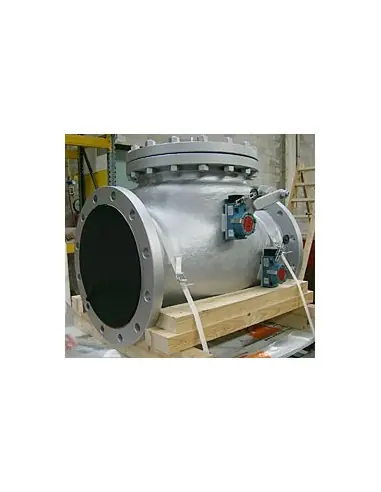 Swing Check Valve - Bolted Bonnet | Fluitek | Philippopoulos s.a.