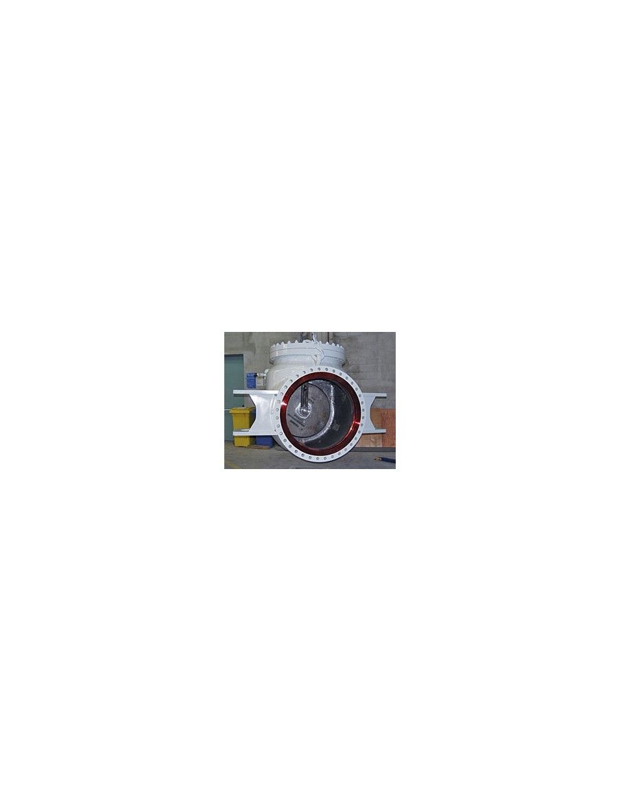 Swing Check Valve - Piggable Bolted Bonnet | Fluitek