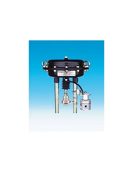 Pneumatic actuator - DP | ARI | Philippopoulos s.a.