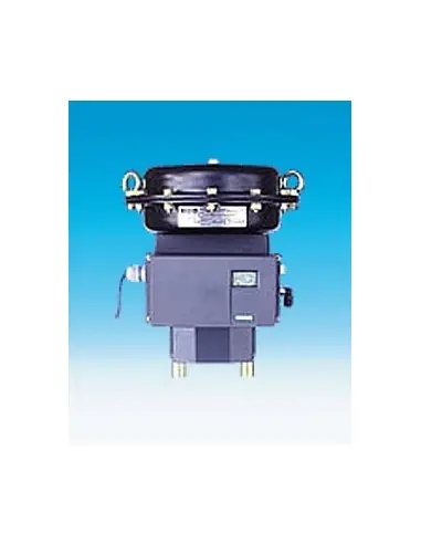 Pneumatic actuator - DP | ARI | Philippopoulos s.a.