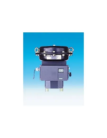 Pneumatic actuator - DP | ARI | Philippopoulos s.a.