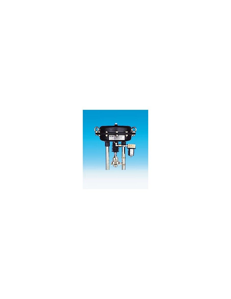 Pneumatic actuator - DP | ARI