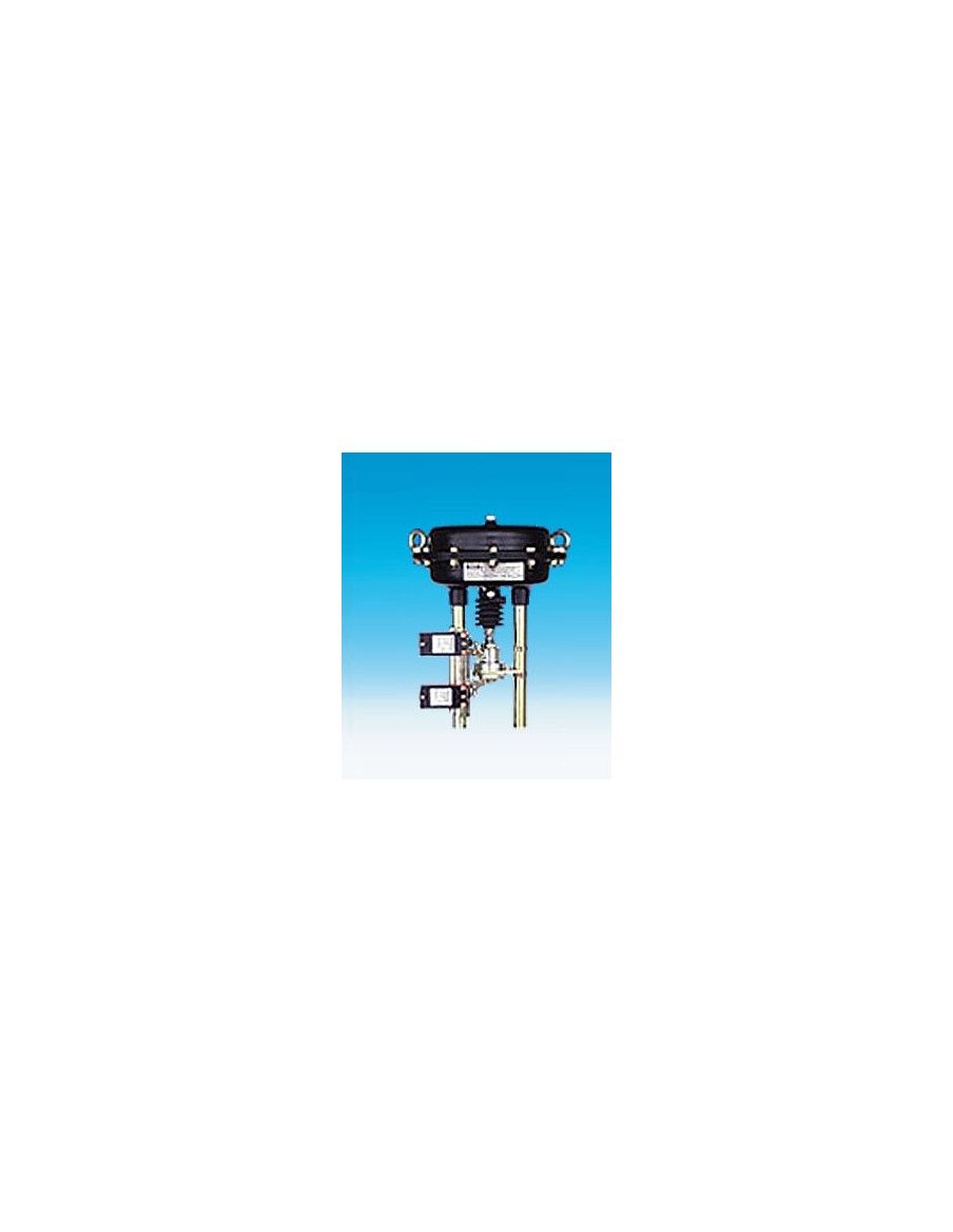 Pneumatic actuator - DP | ARI