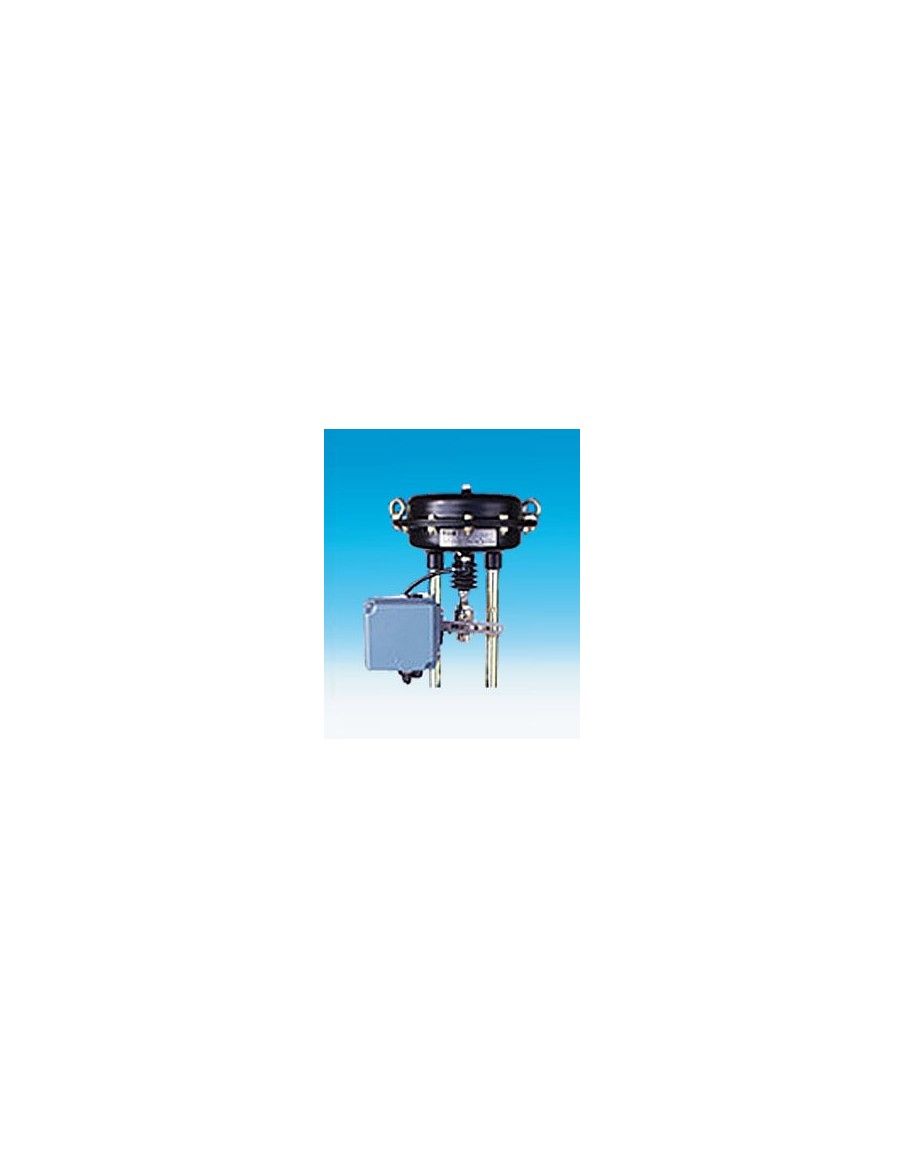 Pneumatic actuator - DP | ARI