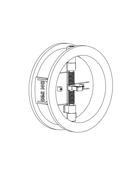 Dual Plate Check Valves | Cast Flow