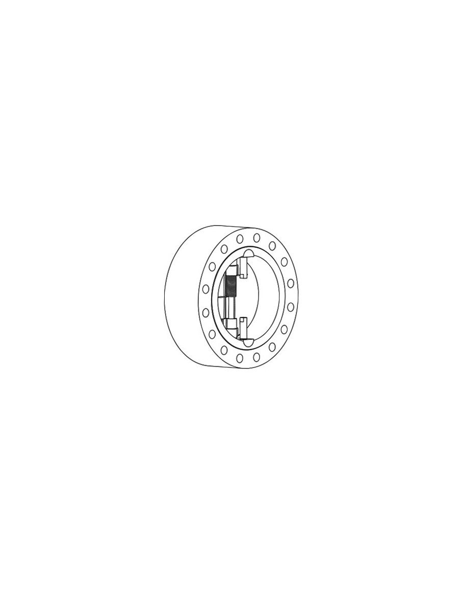 Retainerless Dual Plate Check Valve | Cast Flow