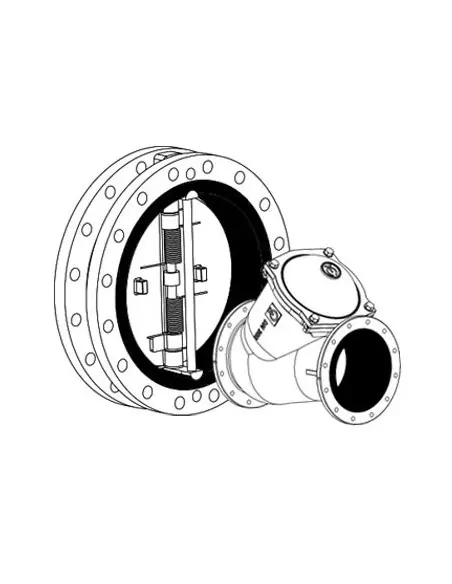 Rubber Lined Dual Plate & Ball Check Valve | Cast Flow | Philippopoulos s.a.
