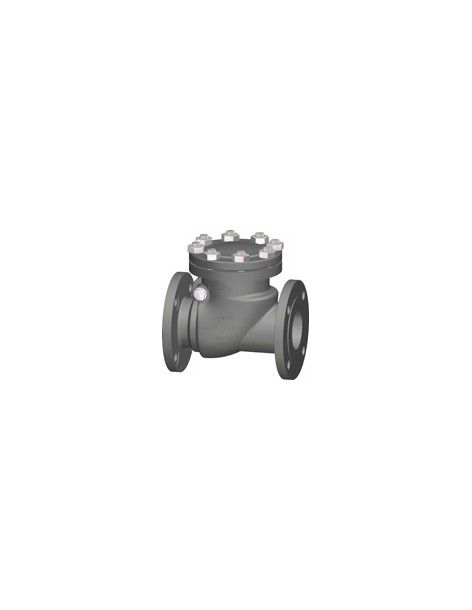 Cast swing check valves - UNIFLOW Fig. 3S | Comeval