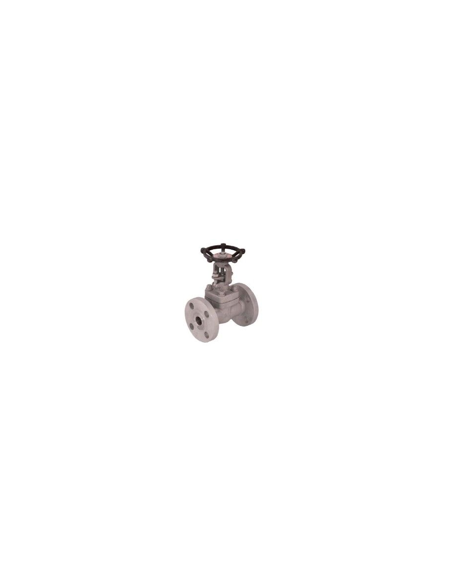 Forged Gate Valve Class 150/300 - C150/300 | ICP Valves