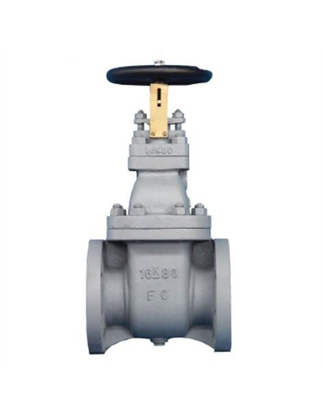 Gate Valve Cast Iron JIS 16K - F7369