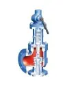 Safety Valves & Rupture Discs