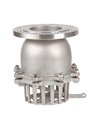 Foot Check Valves