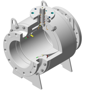 S30T_Trunnion_sezionato