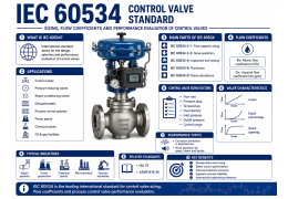 IEC 60534 Control Valve Standard